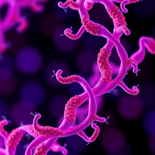 Advances and Strategies in Antibody-Oligonucleotide Conjugates — Medicine