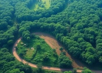 Amazon Degradation Risk Increases Below 2°C Warming Due to Deforestation — Athmospheric