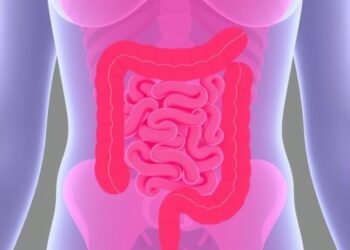 American Cancer Society Revises Colorectal Cancer Screening Guidelines: Highlights Include Blood-Based and At-Home Stool Tests — Medicine