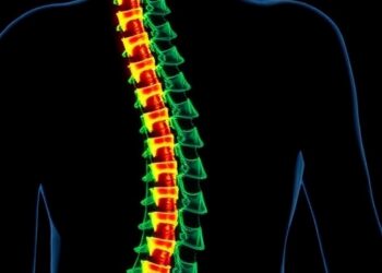Anti-Nogo-A Treatment Alters Spinal Cord Structure Post-Injury — Medicine