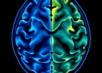 Assessing Brain MRI Quality with MRIQC Tool — Medicine