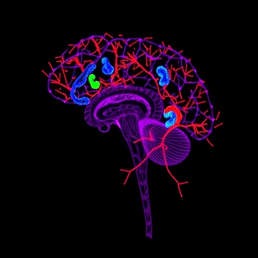 Astrocyte Glucocorticoid Signals Limit Neuronal Plasticity — Medicine