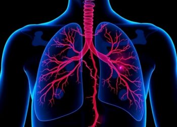 Axon Pathways Connect Small Gestational Age to Lung Restrictions — Medicine