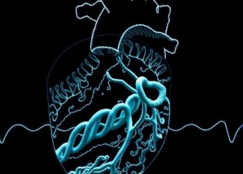 Barua Develops High-Resolution Harmonic Fingerprinting Technique from Sparse Sampling to Disaggregate Complex Cardiovascular Diseases — Technology and Engineering