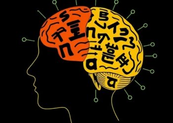 Bilingual Experience Shapes P3b Brainwave Modulations — Technology and Engineering
