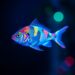 Bioluminescent Fish Use Microcrystals to Scatter Light Like a Prism — Biology