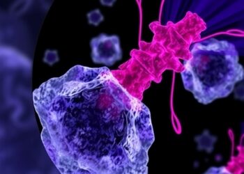 Boosting Temozolomide Response by Targeting miR-19b Pathway — Cancer
