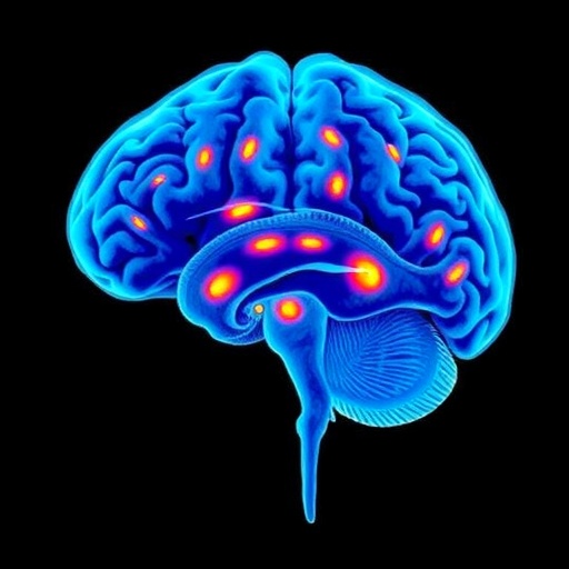 Brainstem Population Dynamics Control REM Sleep — Medicine