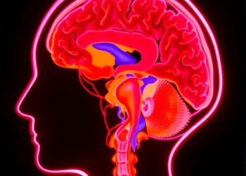 Bright FLAIR Signal Reveals Anterior Cranial Insights — Medicine