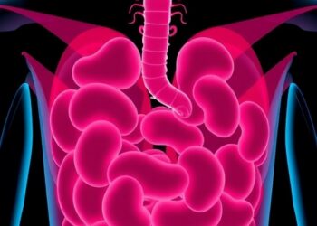 CBC Inflammatory Markers Forecast Risks in Elderly Diarrhea — Technology and Engineering