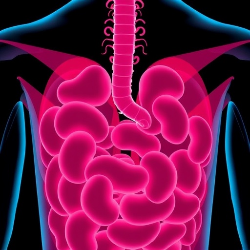 CBC Inflammatory Markers Forecast Risks in Elderly Diarrhea — Technology and Engineering