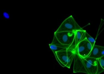 CD44+ Monocytes Drive Inflammation in Preemie Lung Disease — Technology and Engineering