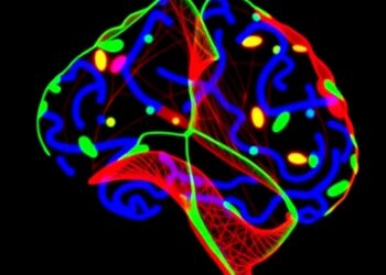 CLPTM1L Alters Lipid Rafts to Drive Glioblastoma Progression — Biology