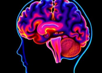 Can Transcranial Doppler Enhance Pediatric Moyamoya Risk? — Technology and Engineering