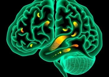 Cannabis Exposure Linked to Hippocampus Changes in Middle Age — Psychology & Psychiatry