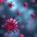 Cells at the Brink of Jamming: New Insights into Cellular Information Processing — Biology