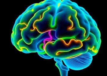 Cerebellar Growth Links Brain Maturation and Language — Technology and Engineering
