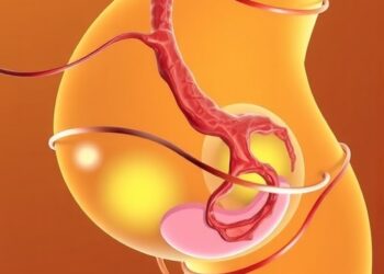 Chemical Mixtures During Pregnancy Could Impact Fetal Growth via the Placenta — Medicine