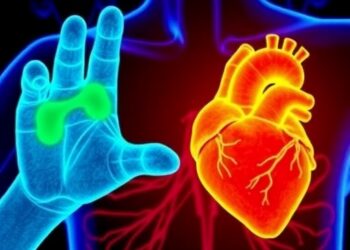 Chilly Extremities, Steamy Hearts: How Body Temperature Influences Disease from TRPM4 Mutations — Medicine