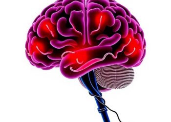 Corticostriatal Circuit Controls Defensive Response Switching — Psychology & Psychiatry