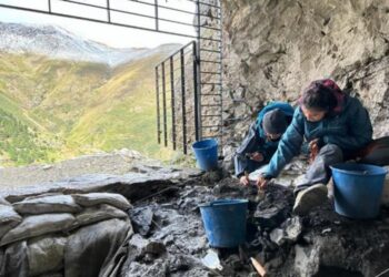 Above 2,000 meters: Cova 338 redefines Pyrenean prehistory