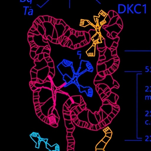DKC1 Drives Colorectal Cancer via Sphingolipid Disruption — Medicine