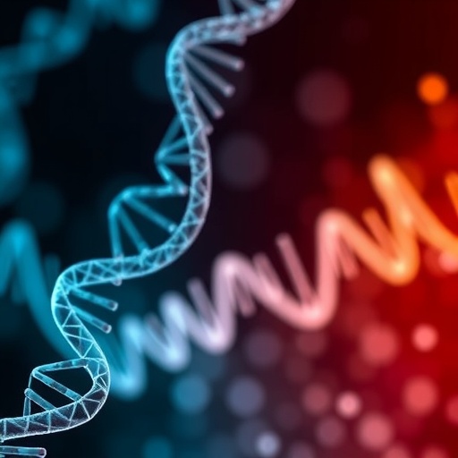 DNA Methylation Clocks Offer Insights Into the Impact of Social Inequality on Mortality — Science Education