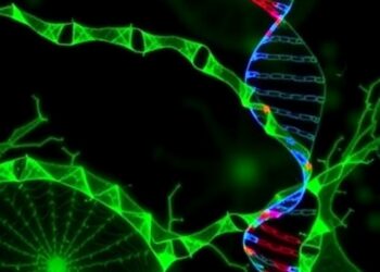 DNA-PK Phosphorylates CRTC2, Boosting NHEJ and Evading Immunity — Medicine