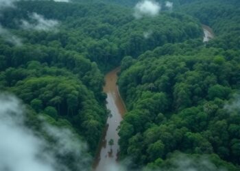 Deforestation Reduces Amazon Rainfall, While Climate Change Accelerates the Decline — Athmospheric