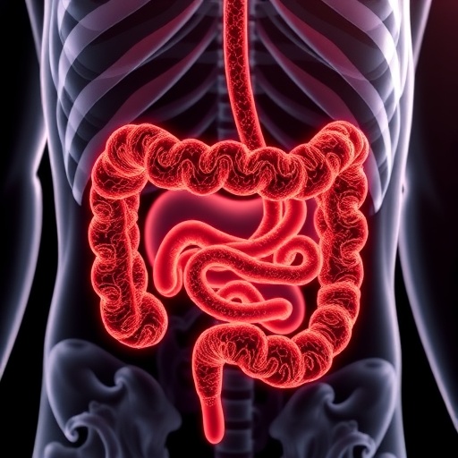 Diet-Derived Compound Shows Promise in Repairing HIV-Induced Gut Damage, Study Finds — Medicine