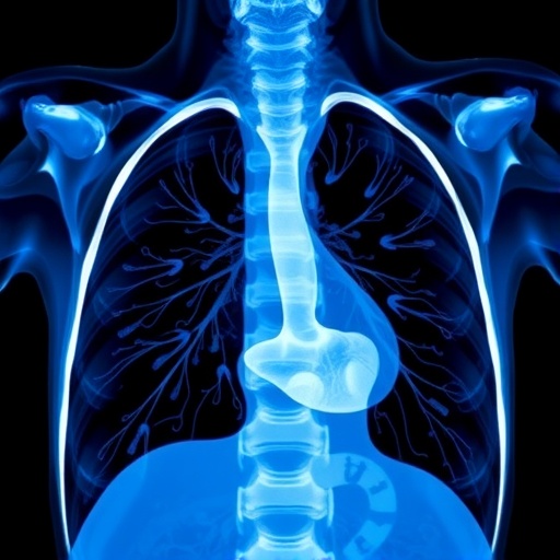 Dimethyl Fumarate Eases Experimental Bronchopulmonary Dysplasia — Technology and Engineering