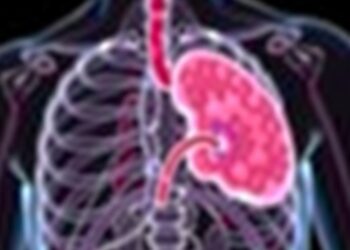 Durvalumab and HAIC-FOLFOX Advance Liver Cancer Treatment — Medicine