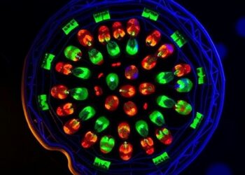 ELF1 Drives Disc Cell Aging via m6A Pathway — Medicine