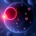 Embryonic Cell Migration: The Journey of Life Begins — Technology and Engineering