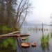 Emergent Insights Predict Future Wetland Methane Emissions — Earth Science