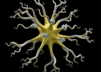 Enterococcus hirae Dopamine Reduces Inflammation, Parkinson’s Symptoms — Medicine