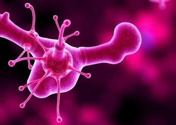Estrogen Deficiency Triggers Bone EVs Causing Cell Aging — Cancer