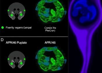 Evaluating APR-246 Response in Ovarian Cancer Mutants — Medicine