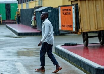 Extreme Rainfall Disrupts Births in Sub-Saharan Africa — Earth Science