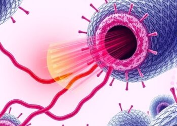 Ferroptosis and Macrophage Polarization: Key Mechanisms Revealed — Medicine