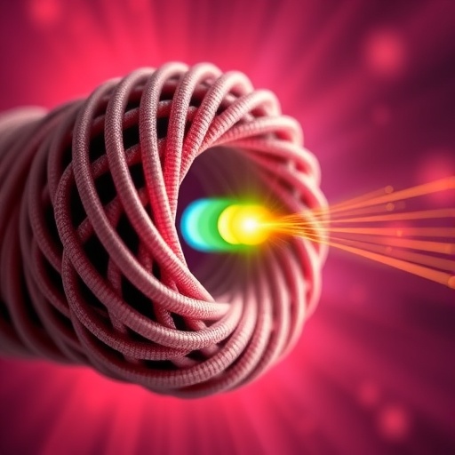 First Direct Observation of Exotic Charge-Neutral Quasiparticles in Twisted Tungsten Diselenide — Chemistry