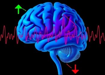 Frequency-Tuned Trigeminal Stimulation Modulates Hippocampal Rhythms — Psychology & Psychiatry