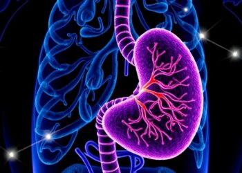 From Salk Institute Breakthrough to Bedside: Vitamin D Analog Disarms Pancreatic Cancer’s Defenses in Clinical Trial — Cancer