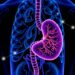From Salk Institute Breakthrough to Bedside: Vitamin D Analog Disarms Pancreatic Cancer’s Defenses in Clinical Trial — Cancer