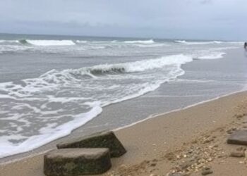 Future Seasonal Sea-Level Changes Threaten Coastal Ecosystems — Climate