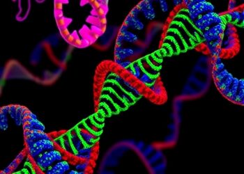 GWAS Uncovers SUBER GENE1 Role in Suberization — Biology