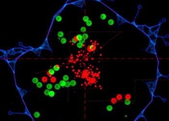 Genetically Targeted mTORC1 Inhibitor Uncovers Nuclear Control — Medicine