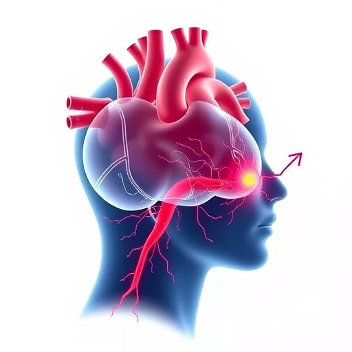 Glutamatergic NTS Pathway Links Heart Injury, Anxiety — Psychology & Psychiatry