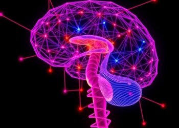 Graph Theory Unveils Frequency-Specific Brain Networks from Neural and Vascular Signals in Spinal Cord Stimulation for Disorders of Consciousness — Medicine