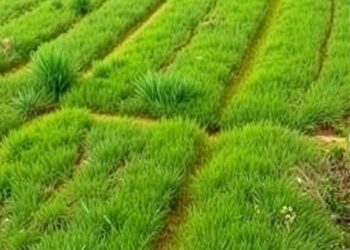 Grassland Fragmentation Threatens Vertebrate Biodiversity Unevenly — Earth Science